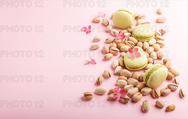 Green macarons or macaroons cakes with pistache nuts on pastel pink background. side view, copy space