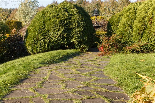 Park with green lawn, trees trimmed bushes and natural stone path in autumn. Modern landscape design