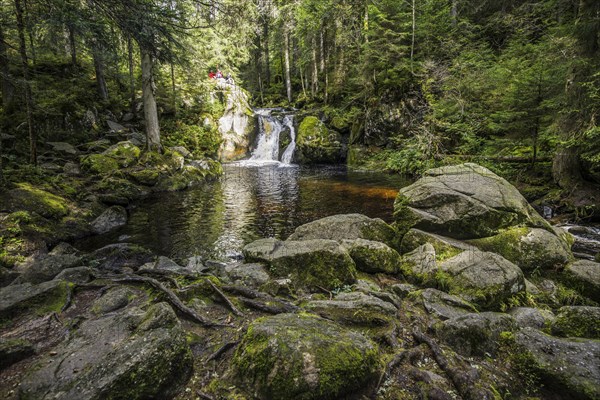 Kroi-Woog-Gumpen, with moss, rocks and forest, Hotzenwald, Black Forest, Baden-Wuerttemberg, Germany, Europe