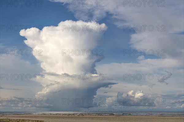 Rain cloud (Cumulonimbus capillatus) with heavy rain shower on the North Sea beach, Henne Molle, Henne, Region Syddanmark, Denmark, Europe
