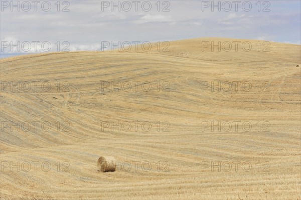 Harvested fields south of Siena, Crete Senesi, Tuscany, Italy, Europe