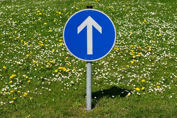 Traffic sign arrow points up Munich, Upper Bavaria, Germany, Europe