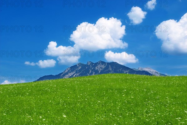 Meadow and Mount Soiernspitze near Klais, Garmisch-Partenkirchen, Bavaria, Germany, Europe