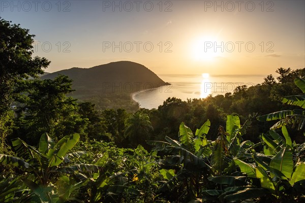 View from a mountain to a secluded bay with a sandy beach and mangrove forest. The sun rises over the sea and bathes the surroundings in a golden light. Grande Anse beach, Basse Terre, Guadeloupe, French Antilles, Caribbean, North America