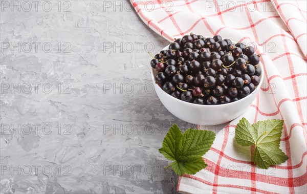Fresh black currant in white bowl and linen textile on gray concrete background. side view, close up, copy space