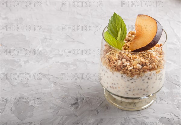 Yoghurt with plum, chia seeds and granola in a glass on gray concrete background. side view, close up, copy space