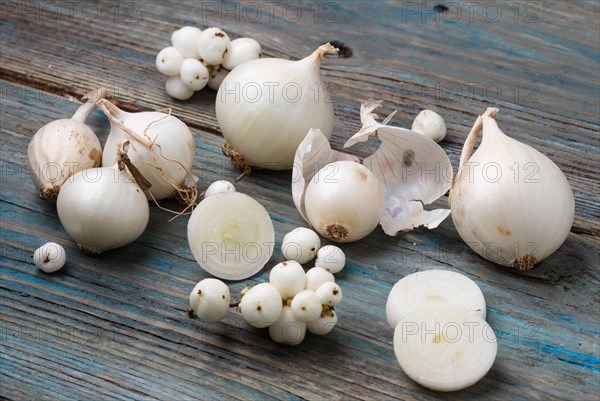 White onion and white berries on a blue rustic wooden background