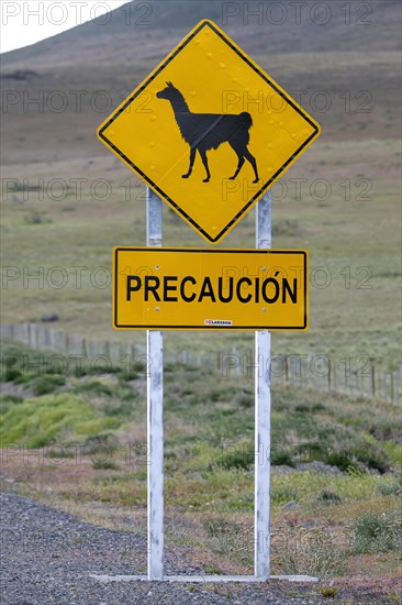 Guanaco (Llama guanicoe), Huanako, traffic sign, warning, road, Torres del Paine National Park, Patagonia, end of the world, Chile, South America