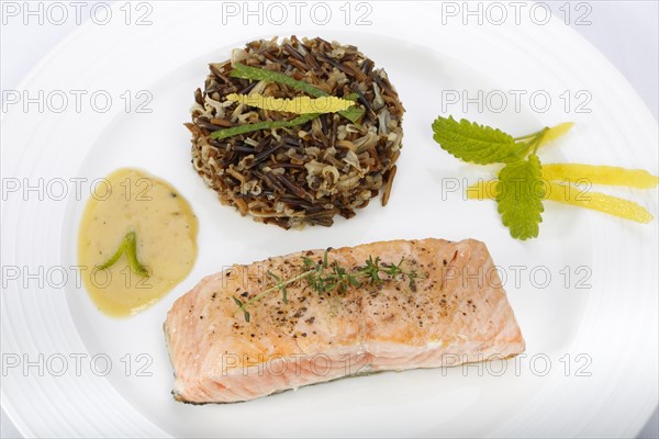 Southern German cuisine, fillet of Dreisam salmon with wild rice and lemon sauce, salmon fillet, healthy eating, decoration, lemon peel, herbs, lemon balm, food plate, appetising, food, studio, fish dish, cooking, Germany, Europe