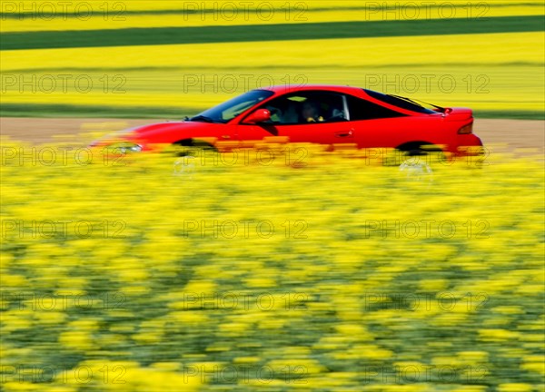 Red sports car on a small road through yellow oilseed fields (Brassica napus) Bavaria, Germany, Europe