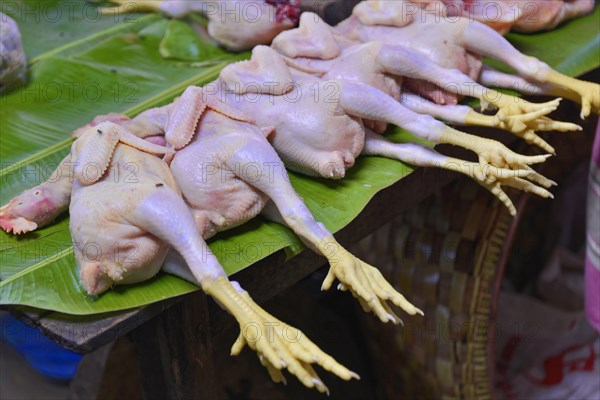 Chicken, poultry display at the market, Mandalay, Myanmar, Asia