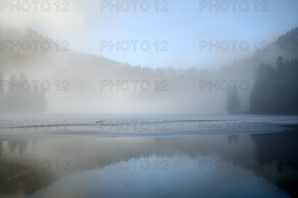 Spitzingsee in winter, ice, Mangfall mountains, Bavarian Prealps, Upper Bavaria, Bavaria, Germany, Europe