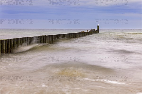 A storm sweeps over the groynes of the Baltic Sea. The birds sitting on the wood don't seem to mind. Captured in a long exposure