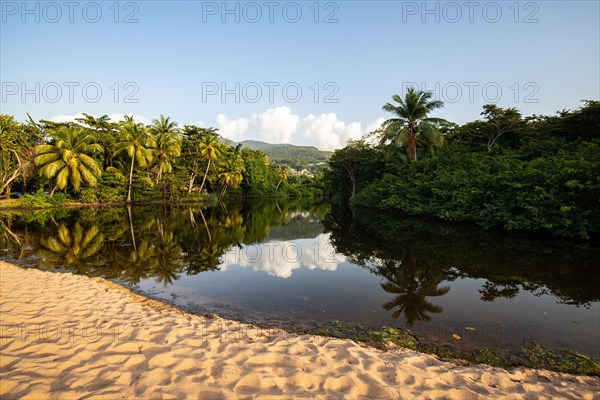 View of a river arm, a tropical mangrove landscape and the natural surroundings of Grande Anse Beach, Basse Terre, Guadeloupe, the French Antilles and the Caribbean, North America