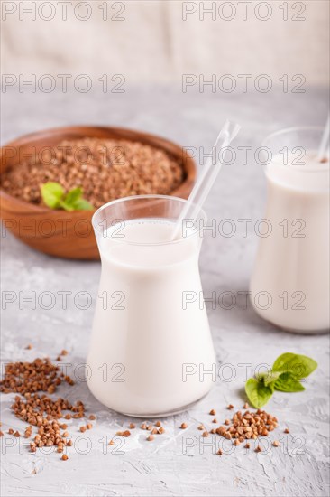 Organic non dairy buckwheat milk in glass and wooden plate with buckwheat seeds on a gray concrete background. Vegan healthy food concept, close up, side view