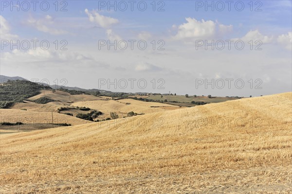 Harvested fields south of Siena, Crete Senesi, Tuscany, Italy, Europe