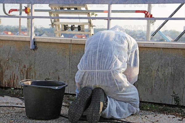 Professional asbestos removal by workers in protective suits