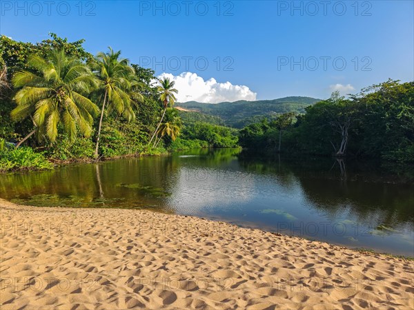 View of a river arm, a tropical mangrove landscape and the natural surroundings of Grande Anse Beach, Basse Terre, Guadeloupe, the French Antilles and the Caribbean, North America