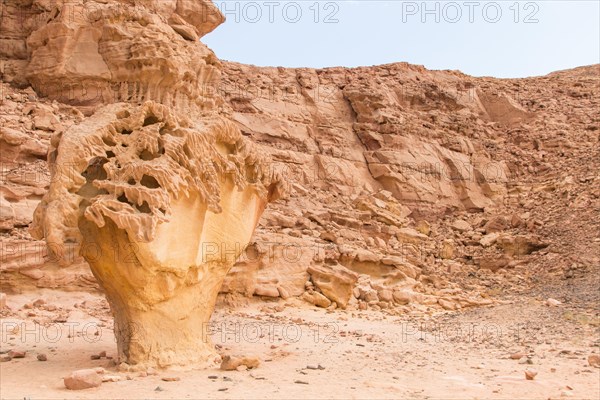 Mushroom rock. Egypt, desert, the Sinai Peninsula, Nuweiba, Dahab