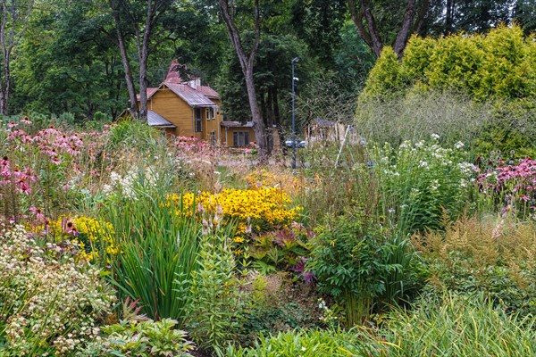 Complex flower bed of perennial plants in the city park. Druskininkai, Lithuania, Europe