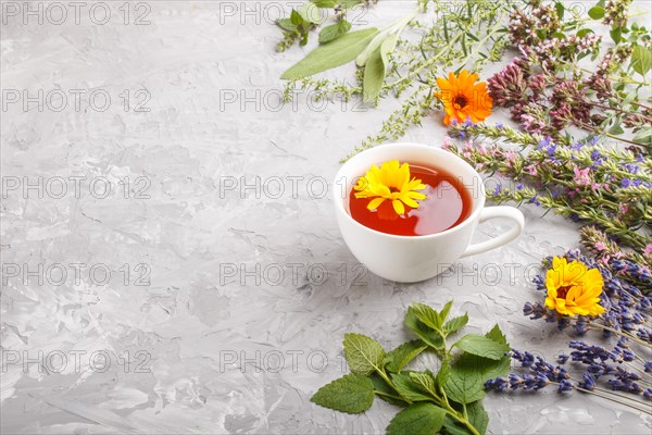 Cup of herbal tea with calendula, lavender, oregano, hyssop, mint and lemon balm on a gray concrete background. Morninig, spring, healthy drink concept. Side view, copy space