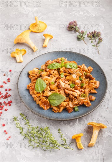 Fried chanterelle mushrooms with basil and spice herbs on gray concrete background. Side view, close up