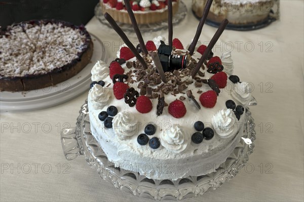 Black forest cake with mini camera at a photo exhibition, Eckental, Middle Franconia, Bavaria, Germany, Europe