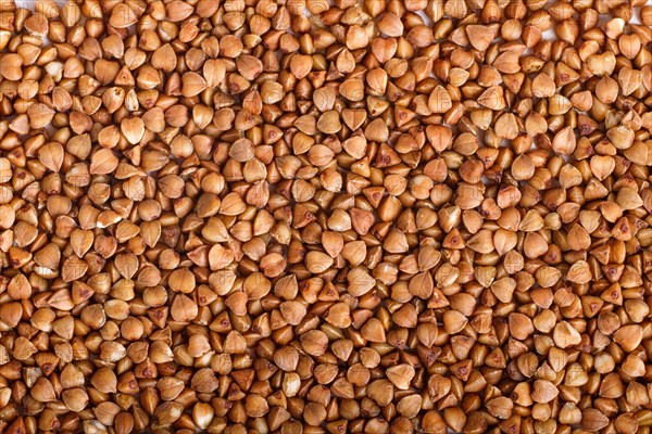 Texture of buckwheat. Top view