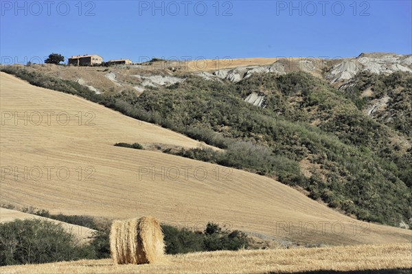 Harvested wheat field, landscape north of Sorano, Tuscany, Italy, Europe