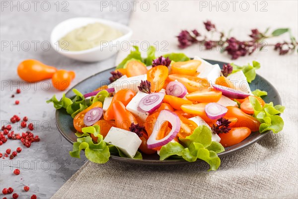 Vegetarian salad with fresh grape tomatoes, feta cheese, lettuce and onion on blue ceramic plate on gray concrete background and linen textile. side view, close up, selective focus