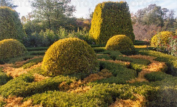 Cottage garden with topiary, hedges, trimmed bushes. Modern landscape design