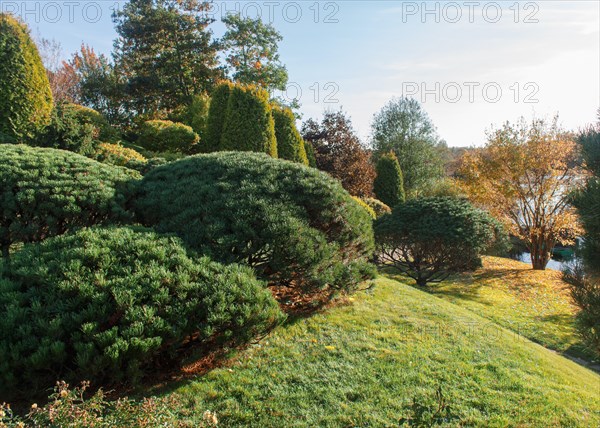 Park with green lawn, trees, hedges, trimmed bushes and hilly terrain. Modern landscape design