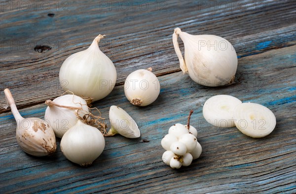 White onion and white berries on a blue rustic wooden background