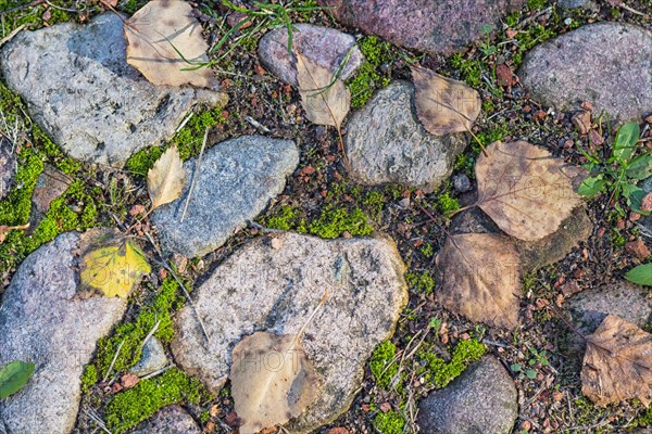 Texture of a boulder with moss and lichen