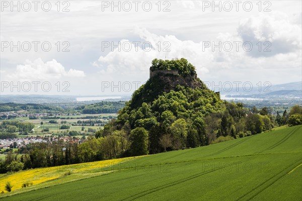 Hohenkraehen, near Singen, Hegau, district of Constance, Lake Constance, Baden-Wuerttemberg, Germany, Europe