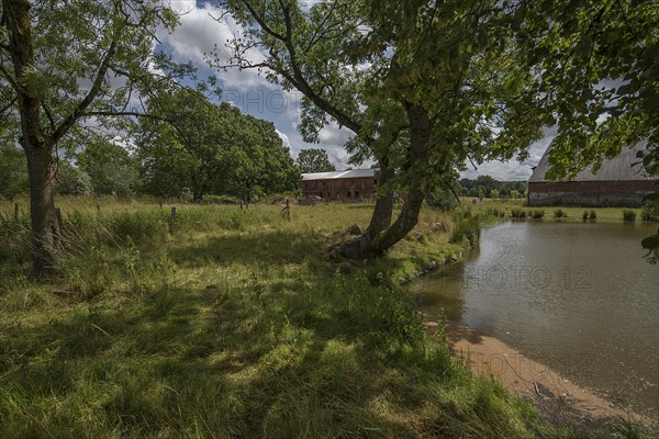 Pig and poultry barn with extinguishing pond on an old estate, Othenstorf, Mecklenburg-Vorpommern, Germany, Europe