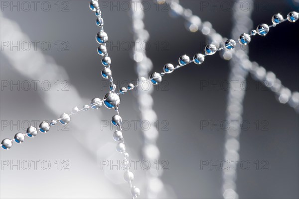 Small water droplets hang on fishing line