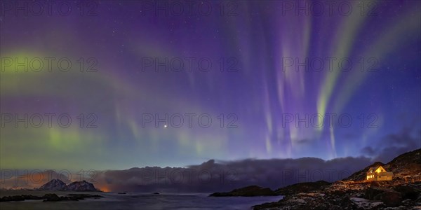 Polarlichter zur blauen Stunde am Meer auf den Vesteralen