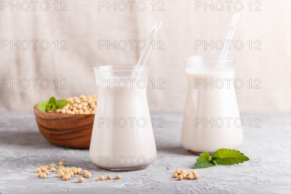 Organic non dairy soy milk in glass and wooden plate with soybeans on a gray concrete background. Vegan healthy food concept, close up, side view