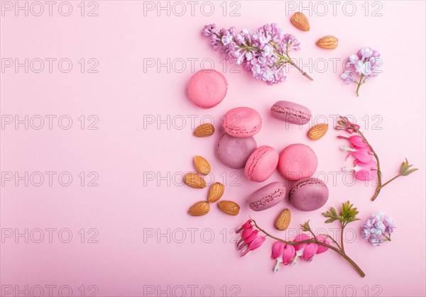Purple and pink macaron or macaroon cakes with lilac and bleeding heart flowers on pastel pink background. Morninig, spring, fashion composition. Flat lay, top view, copy space