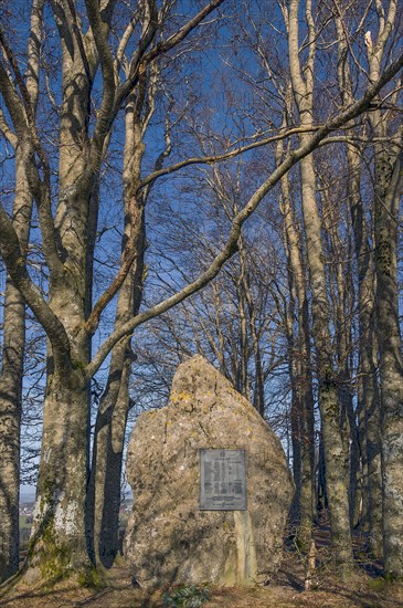 Boulder with plaque of honour for those who died in the wars, Buchenberg, Allgaeu, Bavaria, Germany, Europe