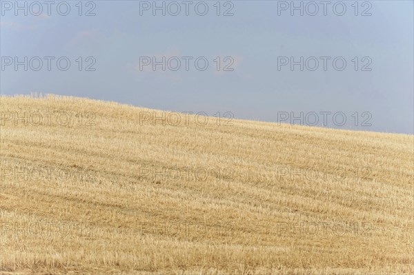 Harvested fields south of Siena, Crete Senesi, Tuscany, Italy, Europe