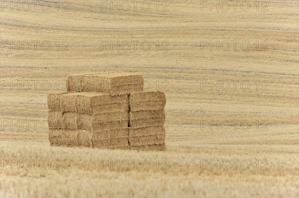 Harvested fields south of Siena, Crete Senesi, Tuscany, Italy, Europe