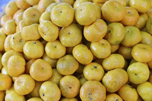 Mandarins at a market in Mandalay, Mandalay, Myanmar, Asia