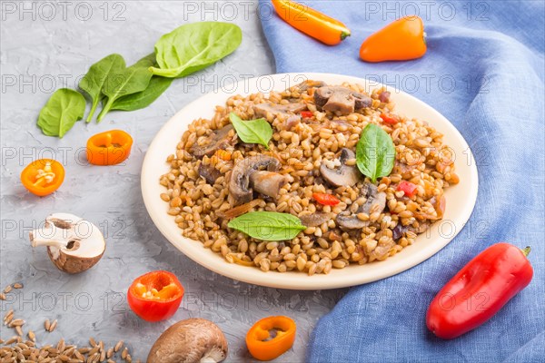 Spelt (dinkel wheat) porridge with vegetables and mushrooms on ceramic plate on a gray concrete background and blue linen textile. Side view, close up. Russian traditional cuisine