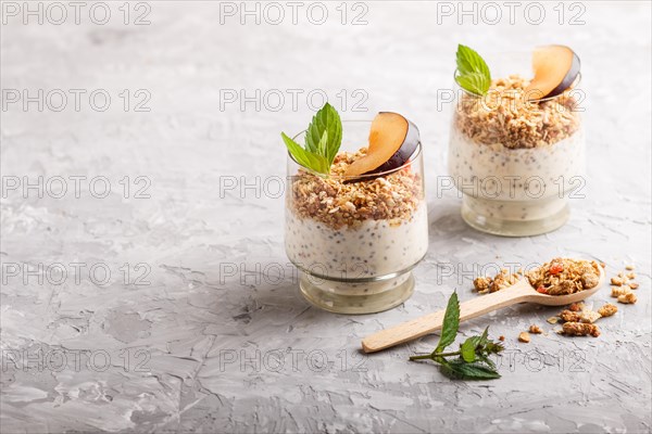 Yoghurt with plum, chia seeds and granola in a glass and wooden spoon on gray concrete background. side view, copy space