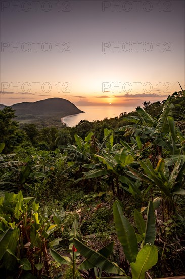 View from a mountain to a secluded bay with a sandy beach and mangrove forest. The sun rises over the sea and bathes the surroundings in a golden light. Grande Anse beach, Basse Terre, Guadeloupe, French Antilles, Caribbean, North America