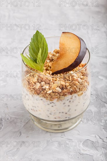 Yoghurt with plum, chia seeds and granola in a glass on gray concrete background. side view, close up