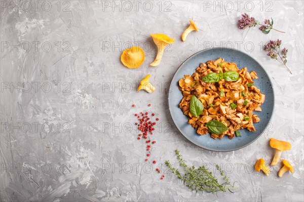 Fried chanterelle mushrooms with basil and spice herbs on gray concrete background. Top view, flat lay, copy space