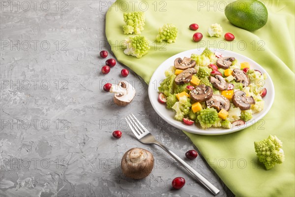 Vegetarian salad from romanesco cabbage, champignons, cranberry, avocado and pumpkin on a gray concrete background and green textile. side view, copy space